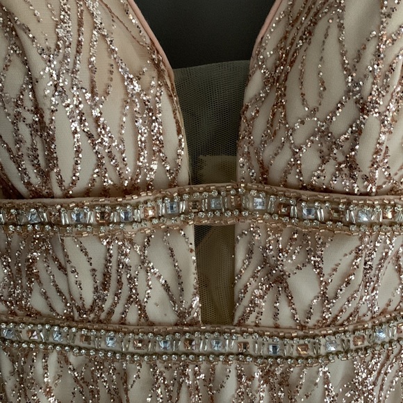 Nude / Blush / Gold Formal Sparkly Dress (S) - Picture 4 of 9